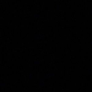 Meet your Posher, Kailee